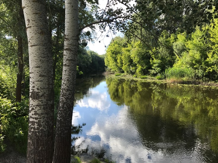 река Псел (Великие Сорочинцы)